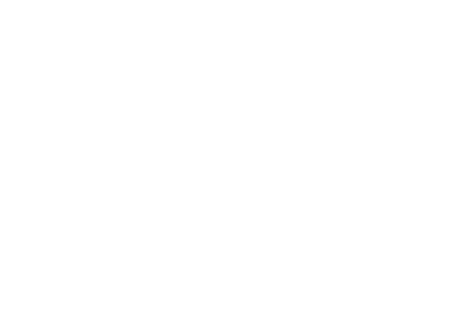 Camping Blank Eck